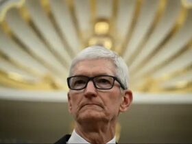 Tim Cook da Apple Revela Interesse em Comprar Startups