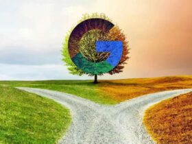 O Futuro do Rank Tracking: O Que Esperar Após Mudanças no Google