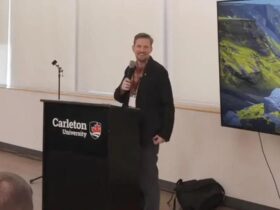 Mullenweg e a Motivação Comercial no Ecossistema WordPress