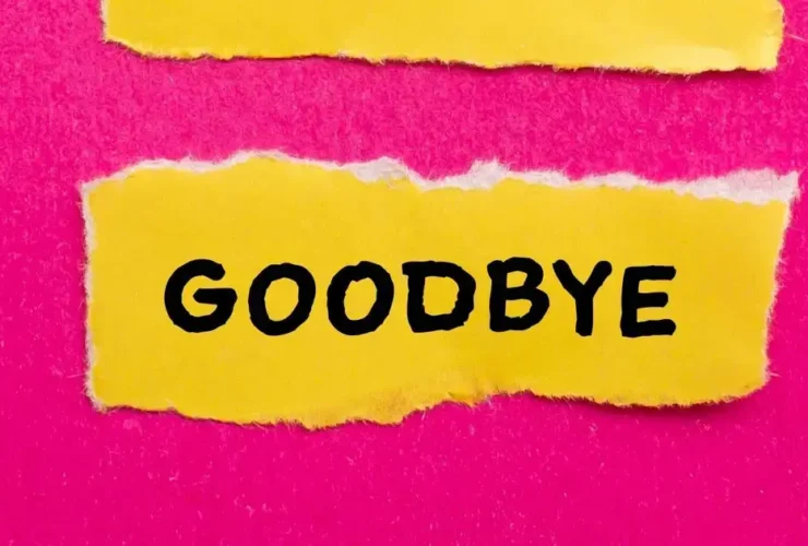 2025: O Ano de Transição para SEO e WordPress