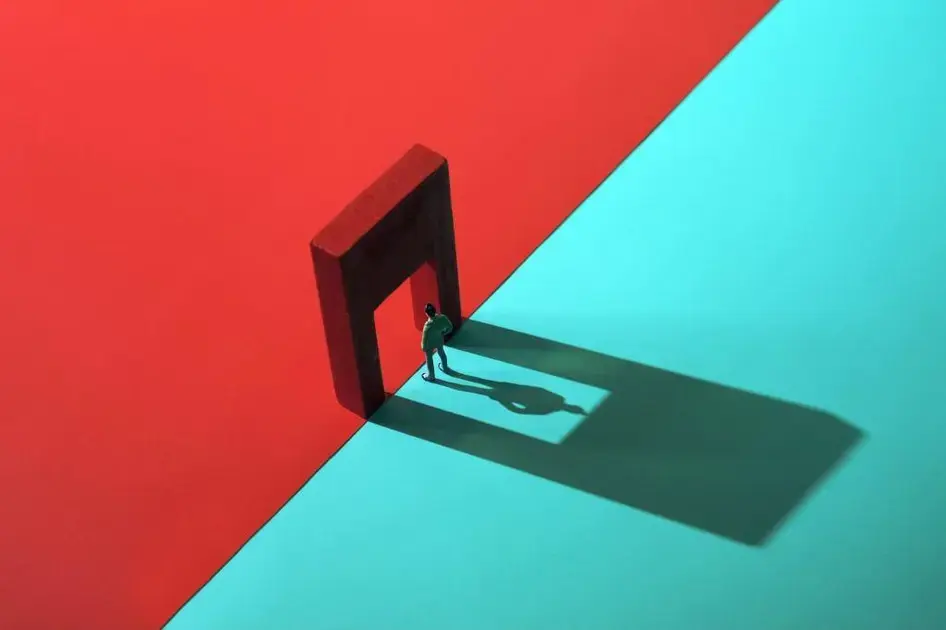 Como a integridade e a curiosidade transformaram um negócio