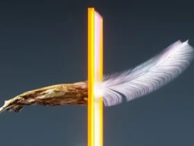 Como o Pacific Airshow Transformou Desafios em Oportunidades de Sucesso