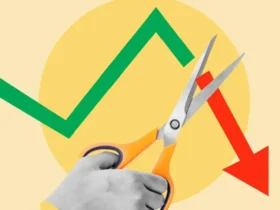 Como Quantificar a Perda de Participação de Mercado Orgânico na Busca