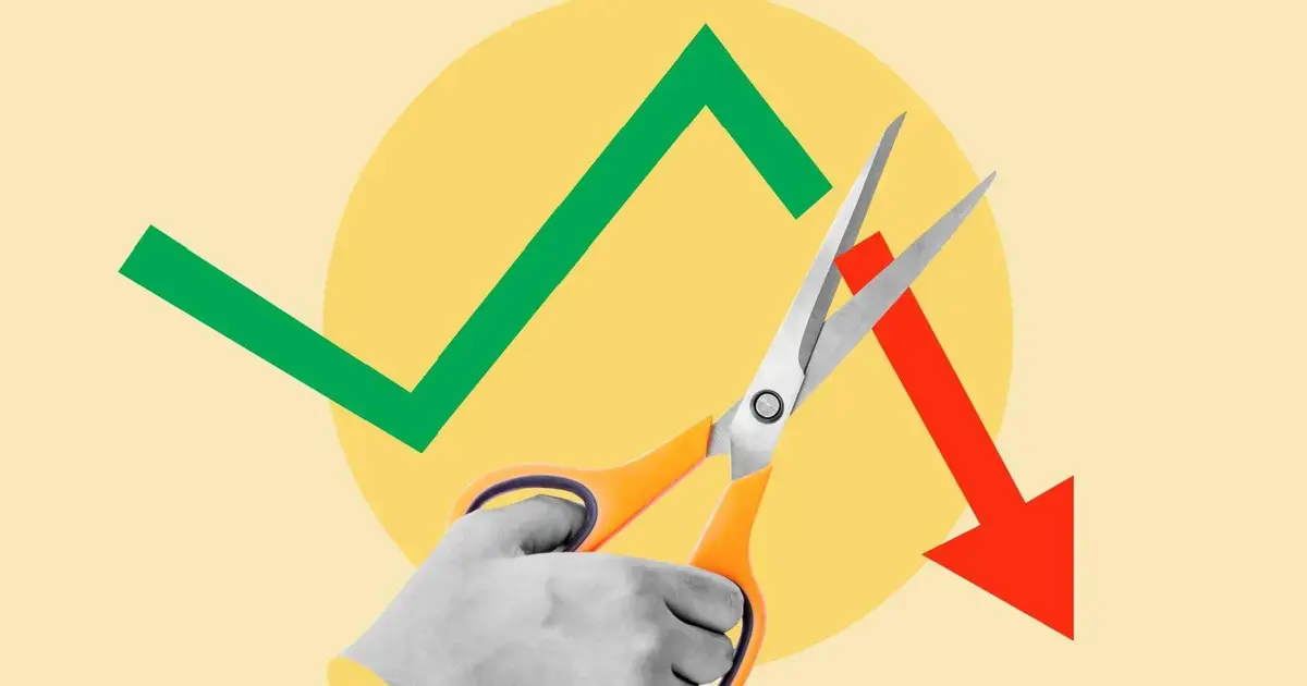 Como Quantificar a Perda de Participação de Mercado Orgânico na Busca